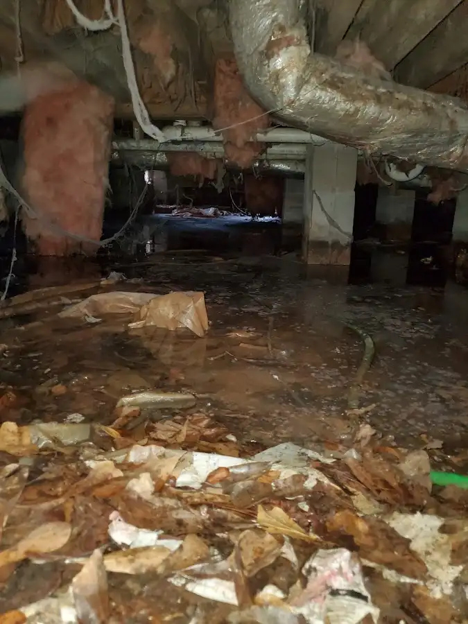 Crawl space flood assessment for Commercial Water Damage Restoration in Rosedale